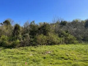 7.67 Unrestricted Acres for sale in Hawkins County, TN