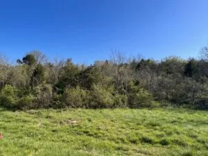 7.67 Unrestricted Acres for sale in Hawkins County, TN