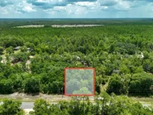 Build your Dream home or Vacation home here!! Florahome, Florida
