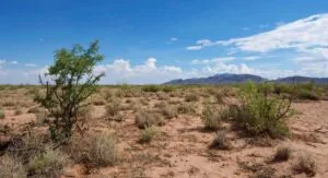 OWN this 2.0 acres Residential lot in Deming, NM
