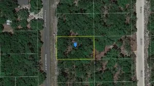 Embrace Nature – 0.25 AC Lot in Florahome Quiet Lakeside Hills Community!