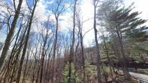 0.46 Acres for Sale in Jasper, GA
