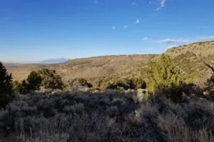 1.23 Acres for Sale in San Pablo, Colorado