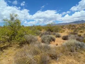 1.02 Acres for Sale in Golden Valley, Arizona