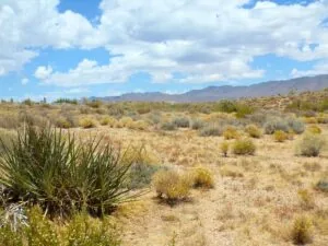 1.02 Acres for Sale in Golden Valley, Arizona