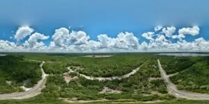 Embrace Nature – 0.25 AC Lot in Florahome Quiet Lakeside Hills Community!