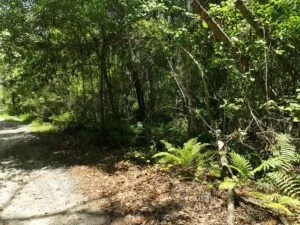 0.34 Acres for Sale in Florahome, Florida