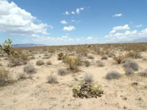 2.28 Acres for Sale in Lake Havasu City, Arizona