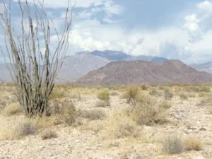 Discounted 2.22 Acre Lot Is Ready For Your Homestead in Mohave County!
