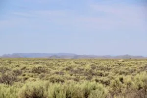 5.19 Acres for Sale in Fort Garland, Colorado