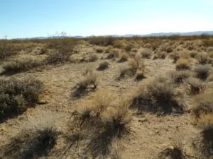 2.5 Acres for Sale in Dolan Springs, Arizona