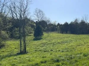 7.67 Unrestricted Acres for sale in Hawkins County, TN