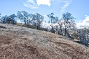 5 Acres right by the Lake! Live and Work all on one Property!