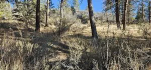 2.82 Acres – Raw Land in Bonanza, Oregon