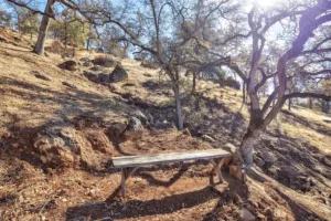 5 Acres right by the Lake! Live and Work all on one Property!