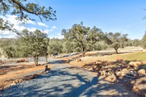5 Acres right by the Lake! Live and Work all on one Property!