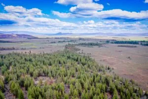 Hunt from your homestead on 1.56 acres in Chiloquin, OR