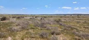 1 Acres for Sale in Sanders, Arizona