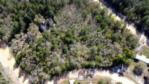 0.82 Acres for Sale in Interlachen, Florida
