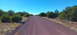 1.16 Acres for Sale in Concho, Arizona