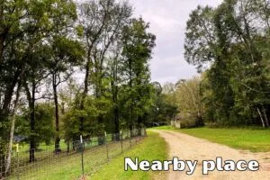 0.75 Acres for Sale in Dayton, Texas