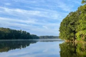 1.05 Acres for Sale in Huntsville, Texas