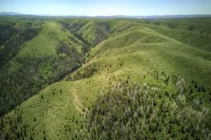 40 Mile Mountain Ranch