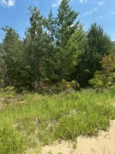 Quarter Acre of Beautiful Florida Land – Interlachen – Putnam County