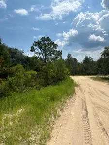 Quarter Acre of Beautiful Florida Land – Interlachen – Putnam County