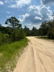 Quarter Acre of Beautiful Florida Land – Interlachen – Putnam County