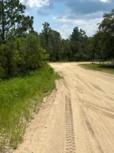 Quarter Acre of Beautiful Florida Land – Interlachen – Putnam County