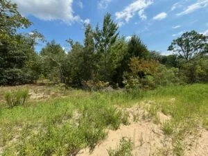 Quarter Acre of Beautiful Florida Land – Interlachen – Putnam County