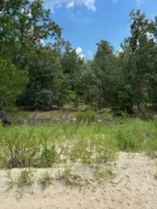 Quarter Acre of Beautiful Florida Land – Interlachen – Putnam County
