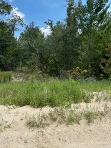 Quarter Acre of Beautiful Florida Land – Interlachen – Putnam County