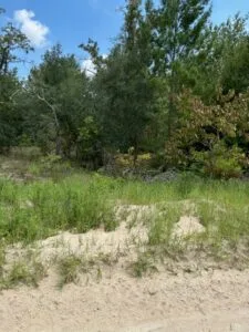 Quarter Acre of Beautiful Florida Land – Interlachen – Putnam County
