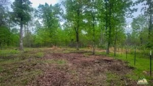 5.05 Acre in Summersville, MO