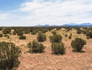 THREE 1.07 acre properties near WILLIAMS, AZ!!