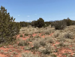 THREE 1.07 acre properties near WILLIAMS, AZ!!