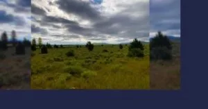 Hunt from your homestead on 1.56 acres in Chiloquin, OR