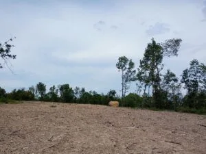 Top Of The Ridge Home Site