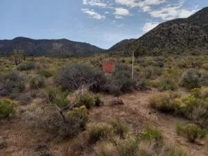 1.25 Off Grid property