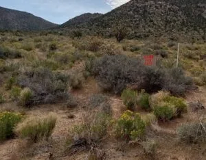 1.25 Off Grid property