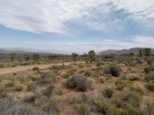 1.25 Off Grid property