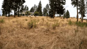 Buildable Lot on Lake Forest Drive, Chiloquin, OR