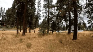 Buildable Lot on Lake Forest Drive, Chiloquin, OR