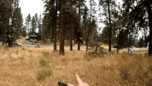 Buildable Lot on Lake Forest Drive, Chiloquin, OR