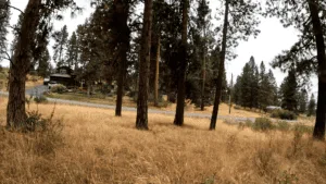Buildable Lot on Lake Forest Drive, Chiloquin, OR