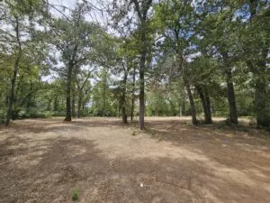 One Acre Homesite For Sale With Utilities – Owner Financing Available – $75,000
