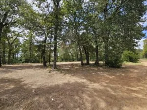 One Acre Homesite For Sale With Utilities – Owner Financing Available – $75,000