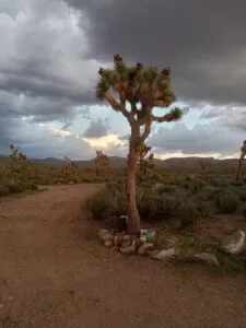 Off Grid 7acs, Beautiful Desert paradise.